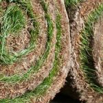 Great Harwood Artificial Grass