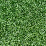 Artificial Grass in Sawley